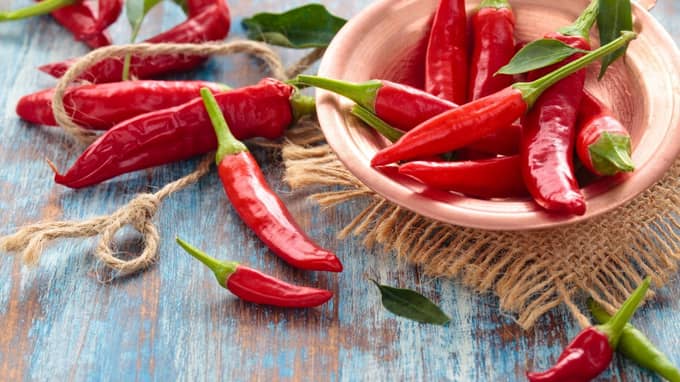 Gaziantep'in Nurdağı İlçesinde Biber Üretimi Lezzetin ve Kalitenin Adresi